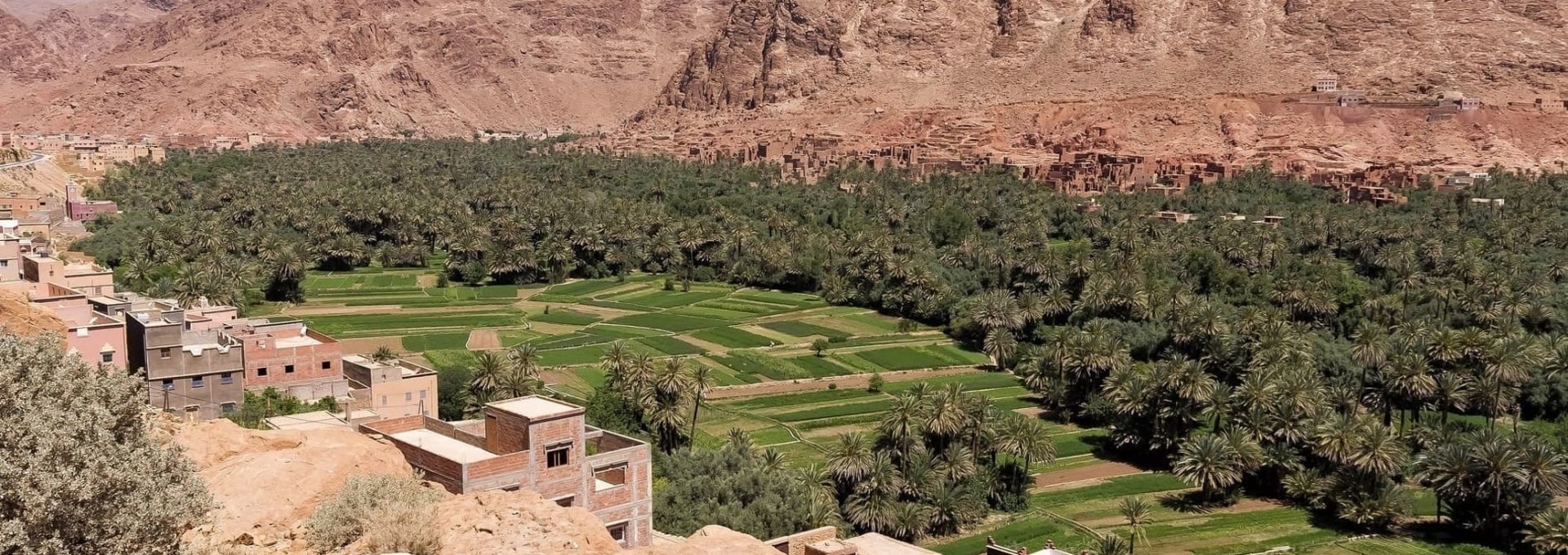 Entre Vallées des Roses et Palmeraie