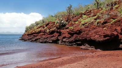 Croisière sur les traces de Darwin