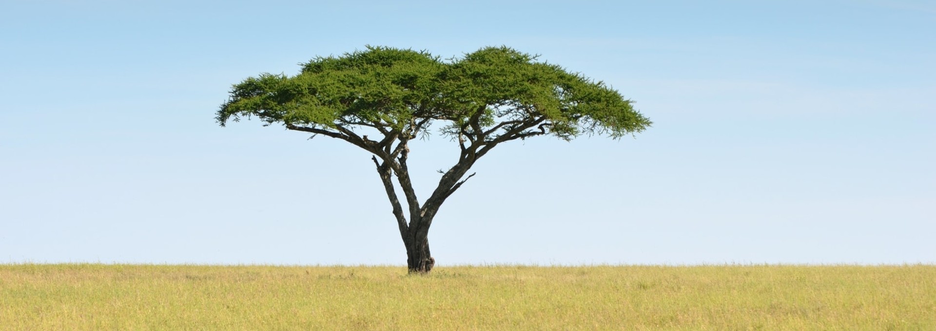 L’essentiel de la Tanzanie