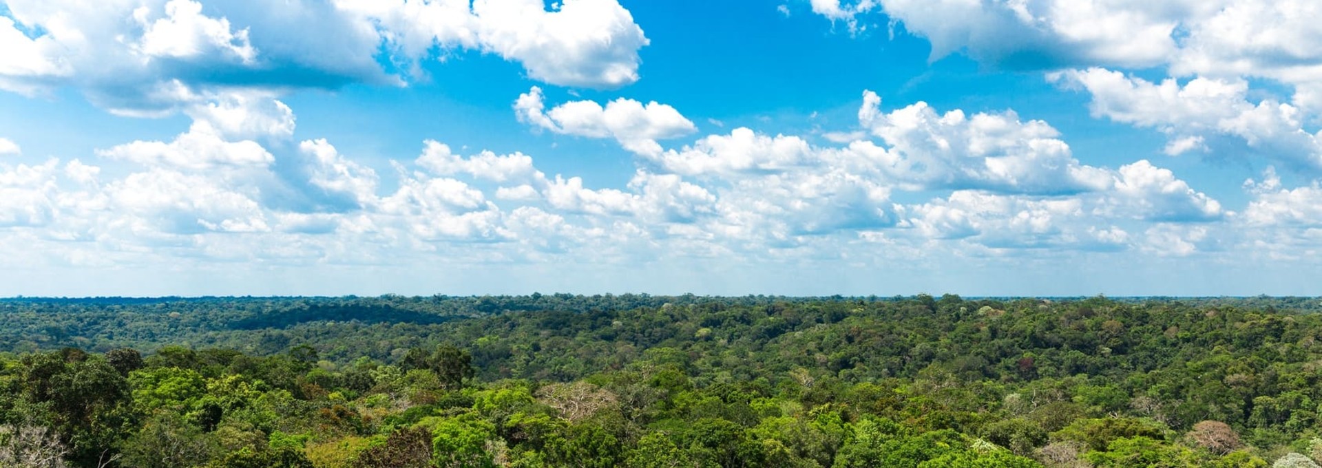 Voyage au Brésil 100% nature