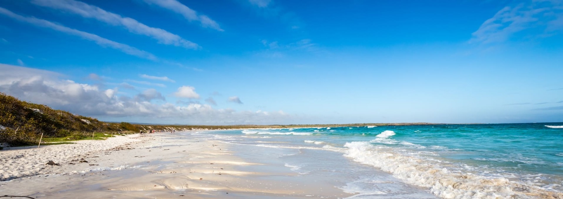 Séjour aux Galápagos sur l’île de Santa Cruz