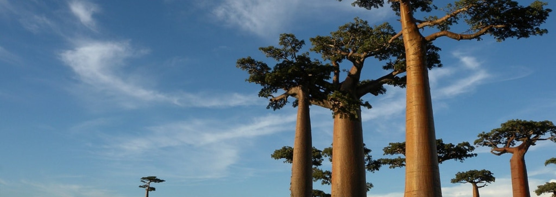 Circuit aventure dans l’Ouest de Madagascar