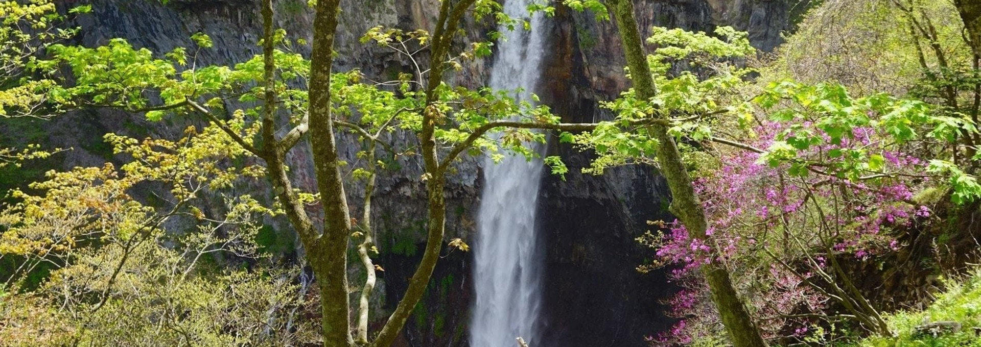 Echappée nature à Nikko