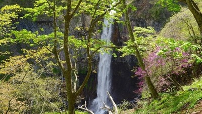 Echappée nature à Nikko
