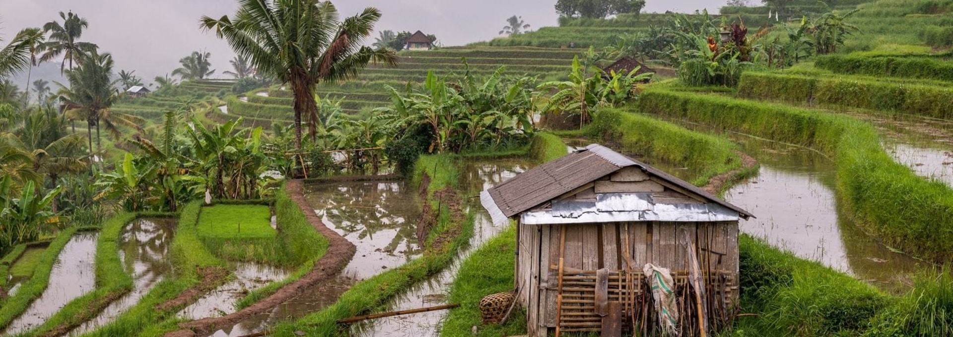 Charme naturel de Sidemen