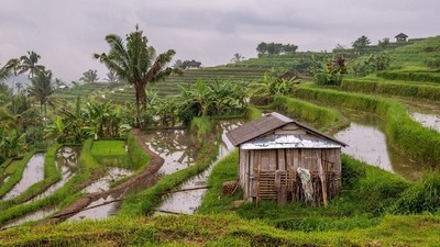 Charme naturel de Sidemen