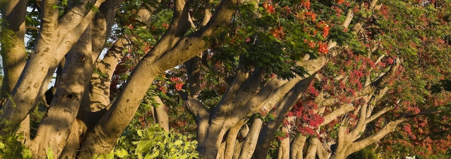 Circuit aventure dans le Sud de Madagascar