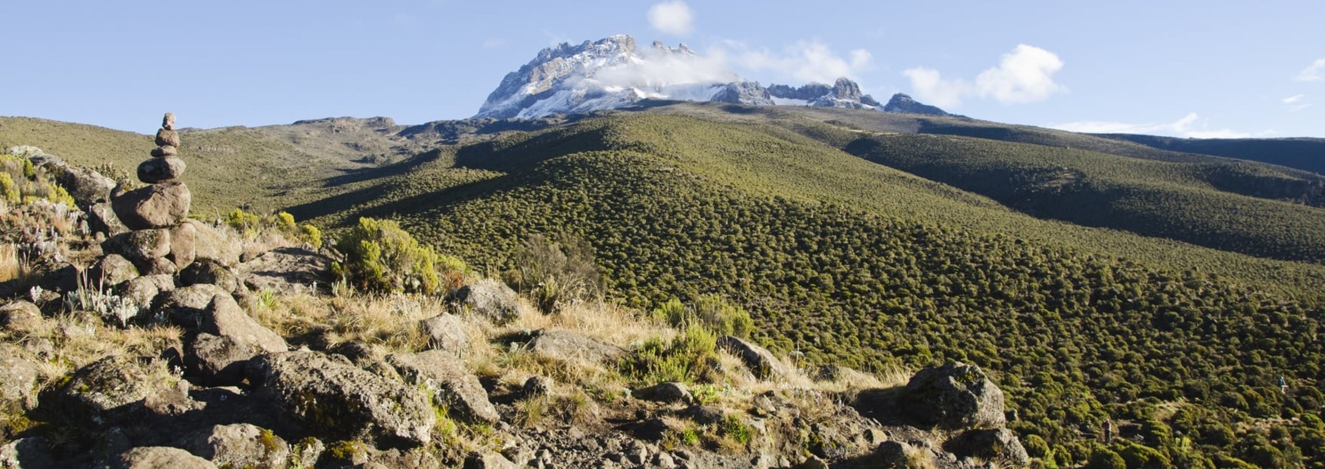 Au cœur des pentes du Kilimandjaro