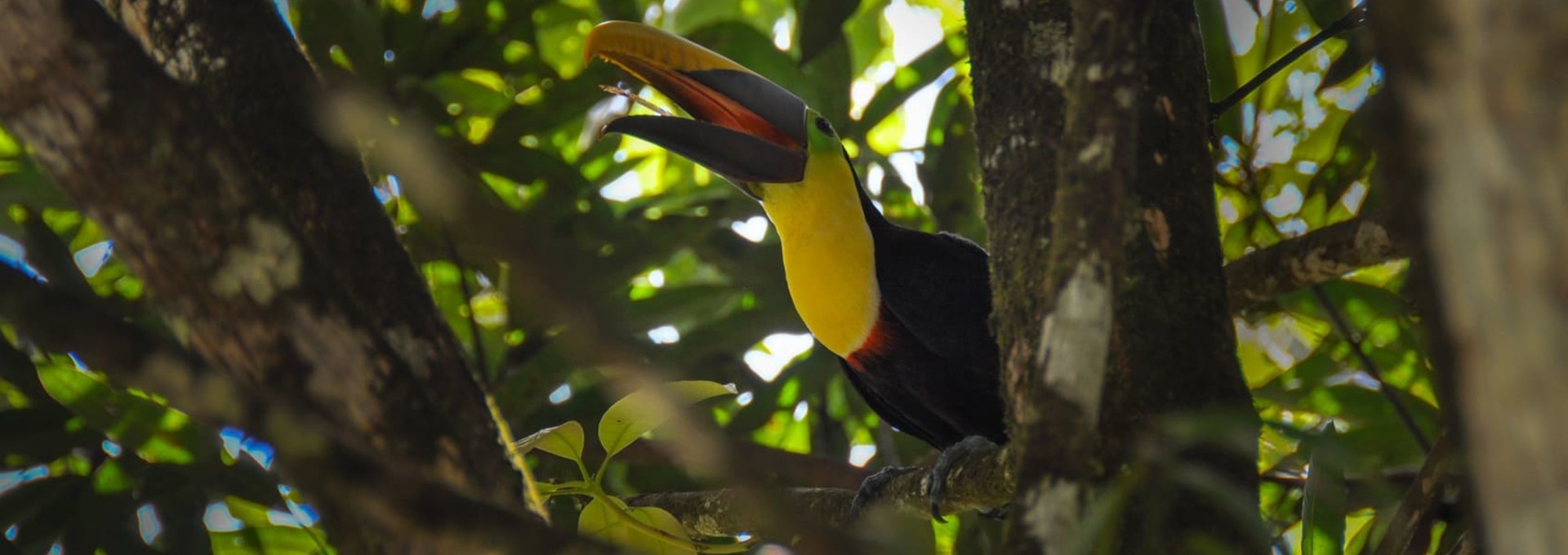 Immersion nature au Costa Rica