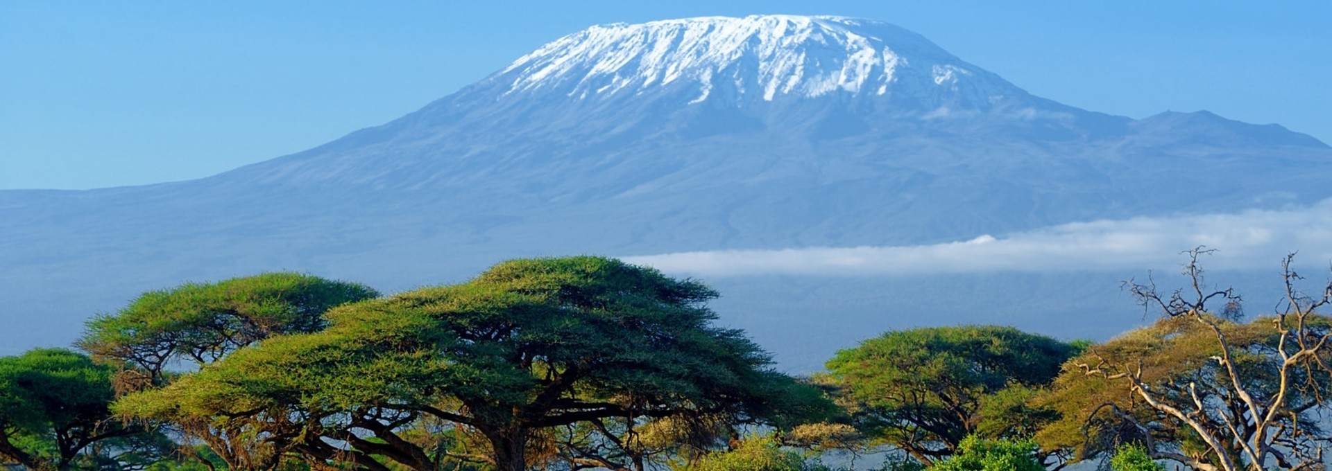 Un jour au Kilimandjaro
