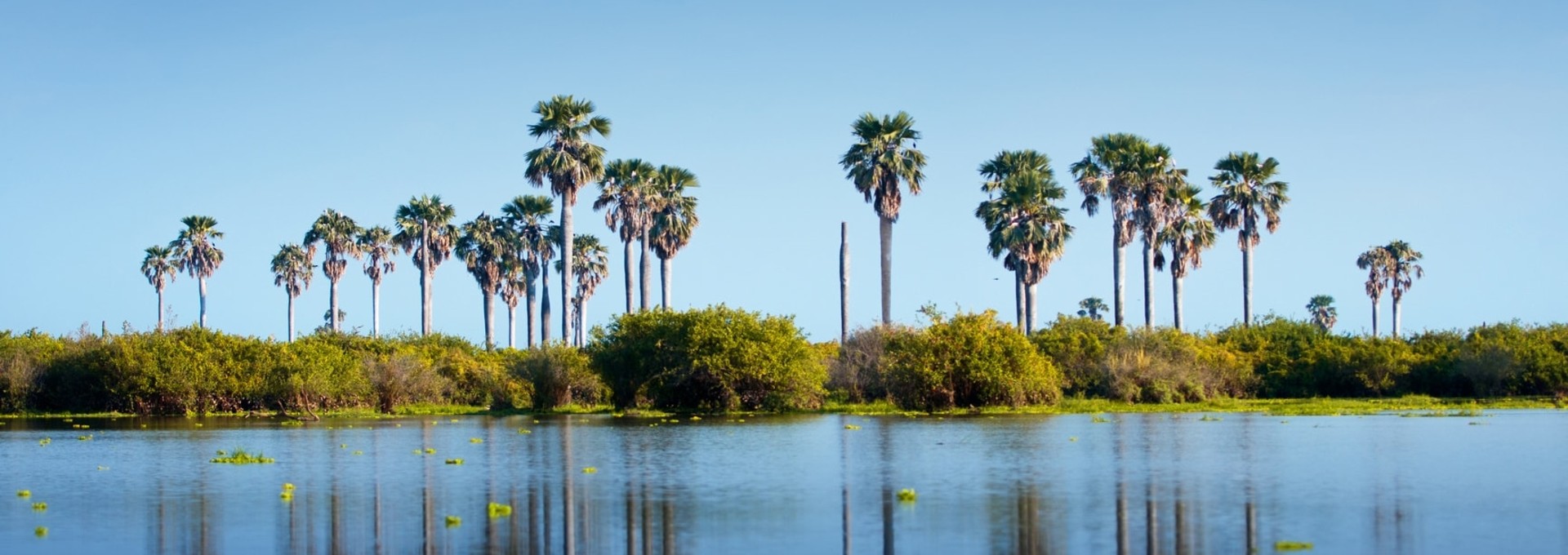 Safari dans la réserve de Sélous