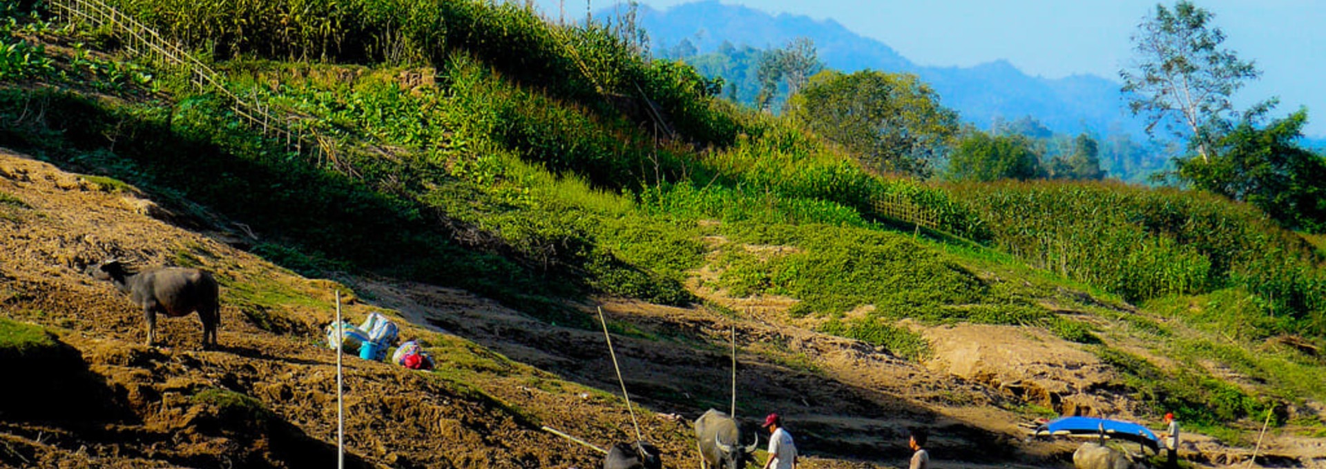 Sur les berges laotiennes du Mékong