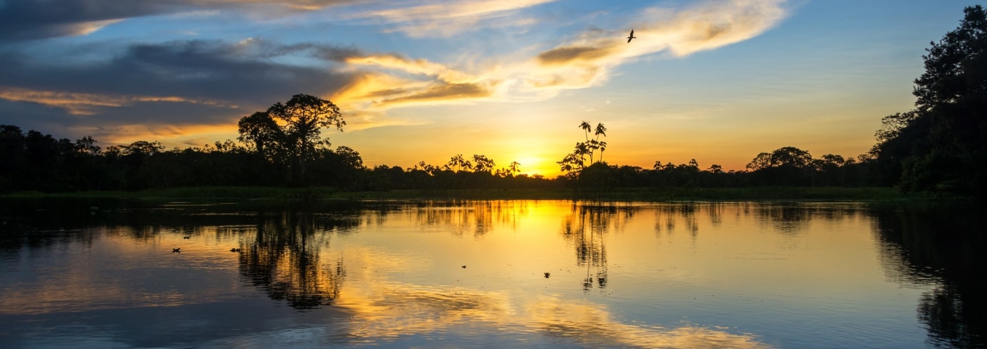 Croisière en Amazonie brésilienne