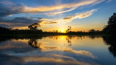 Croisière en Amazonie brésilienne
