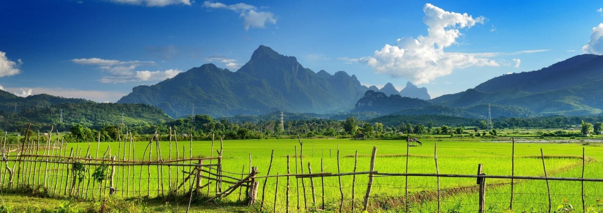 Un concentré de Laos