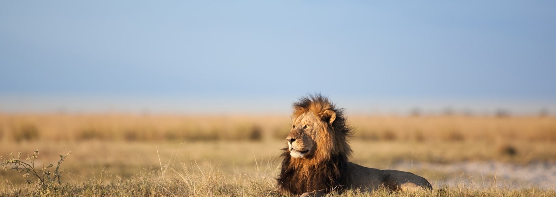 Splendeurs sur la route du Kruger