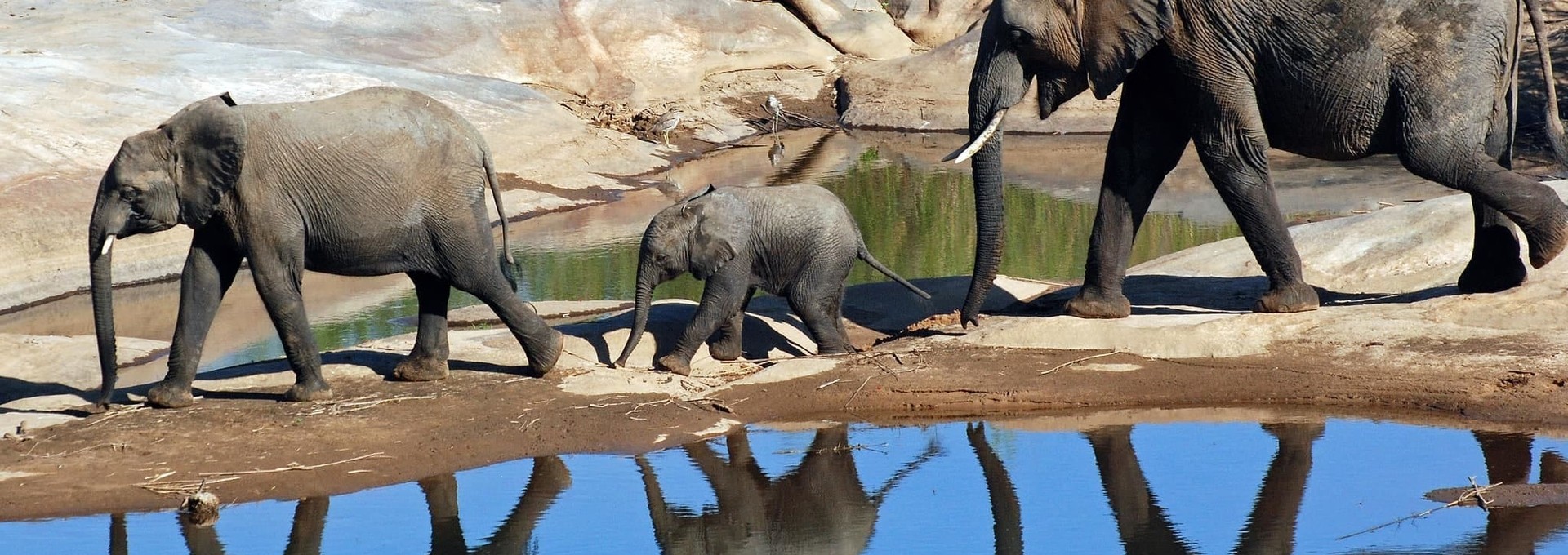 Circuit en Afrique du Sud du Cap au Kruger