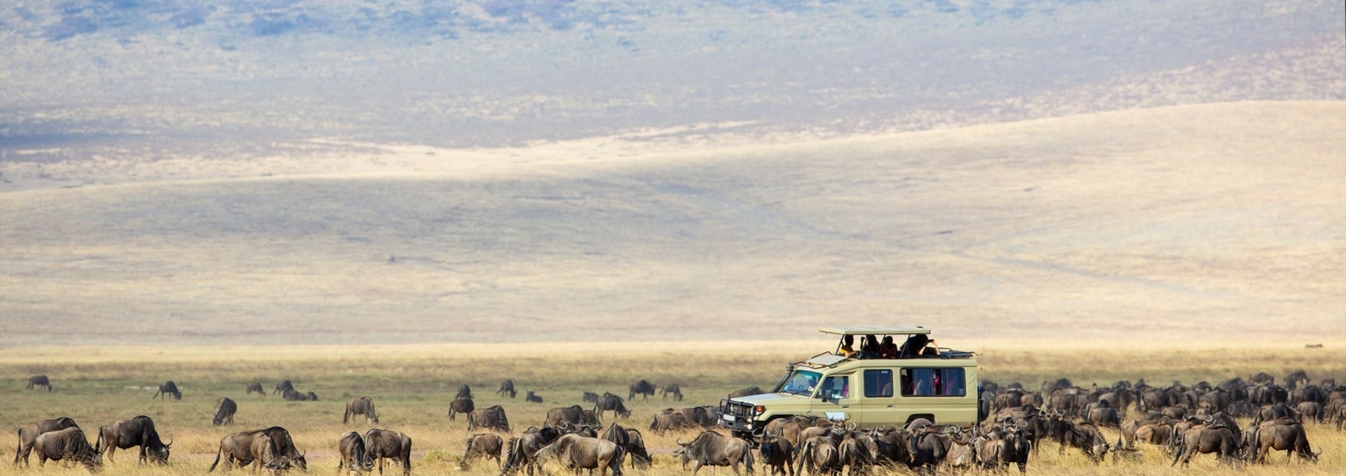 Safari de luxe en Tanzanie