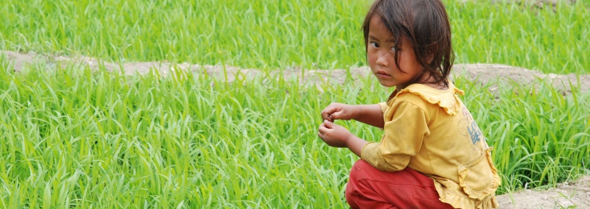 A la rencontre des minorités du Nord du Vietnam