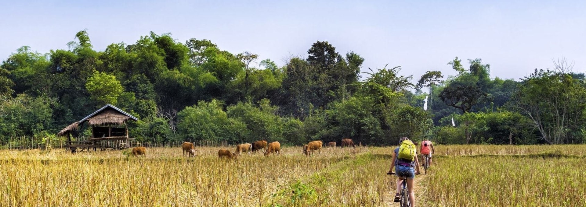 Authenticité et charme du Laos