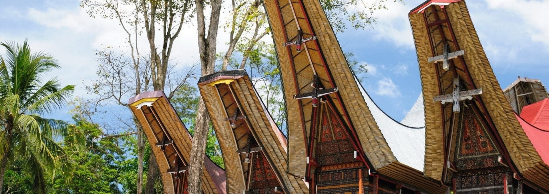 Pays Toraja, terre de magie