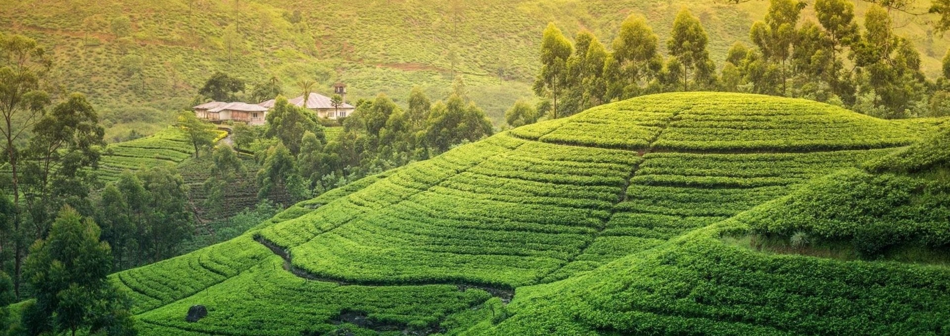 Triangle culturel & plages de l’Est