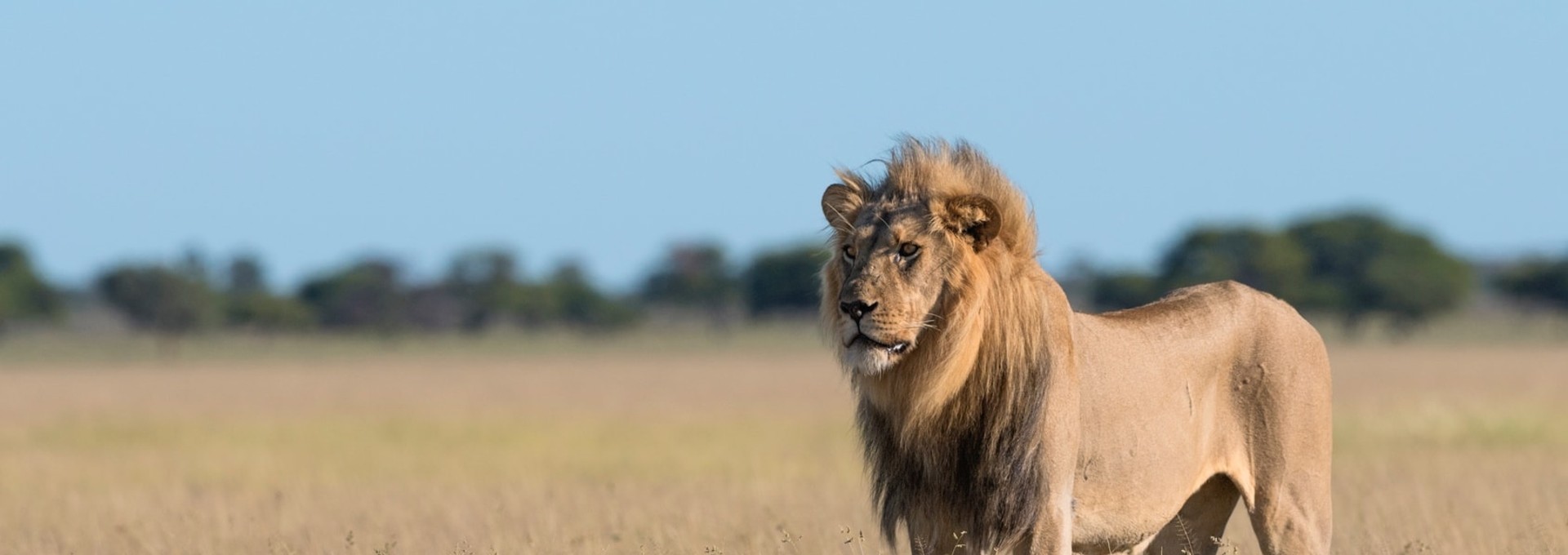 Circuit en Tanzanie à la rencontre des Big Five