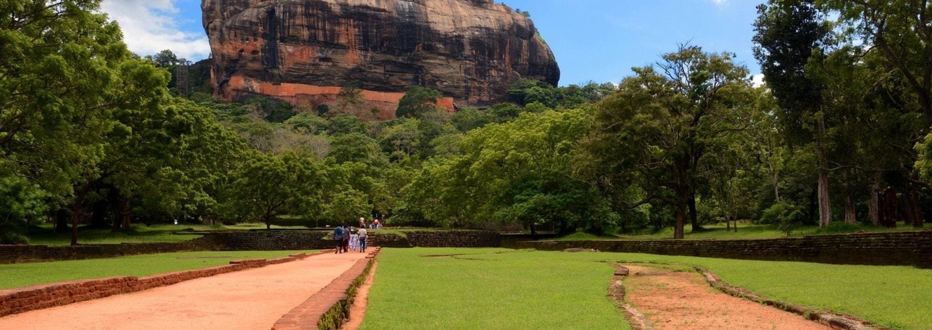 Biodiversité et récits historiques