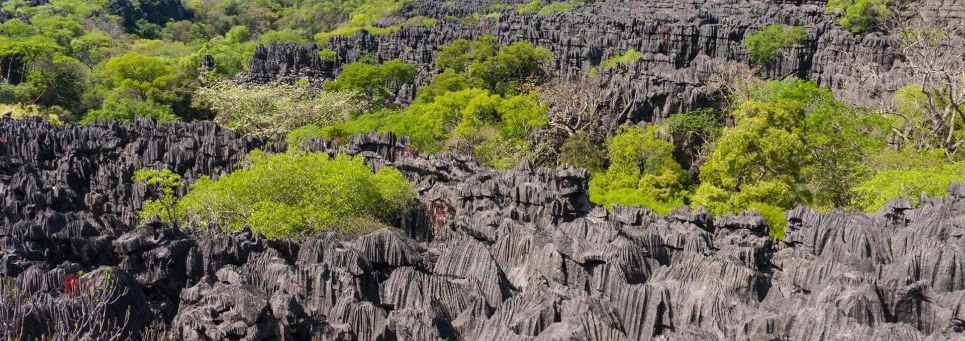 La grande découverte de Madagascar en circuit