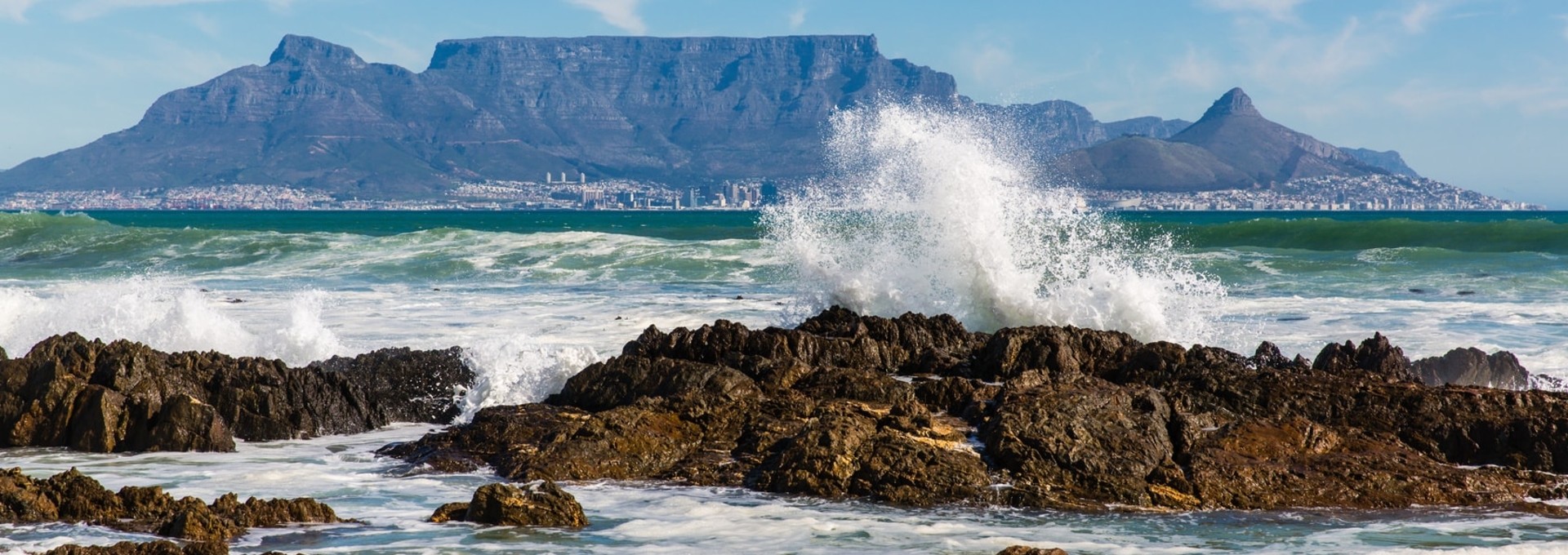 Visite du Cap et Route des Jardins