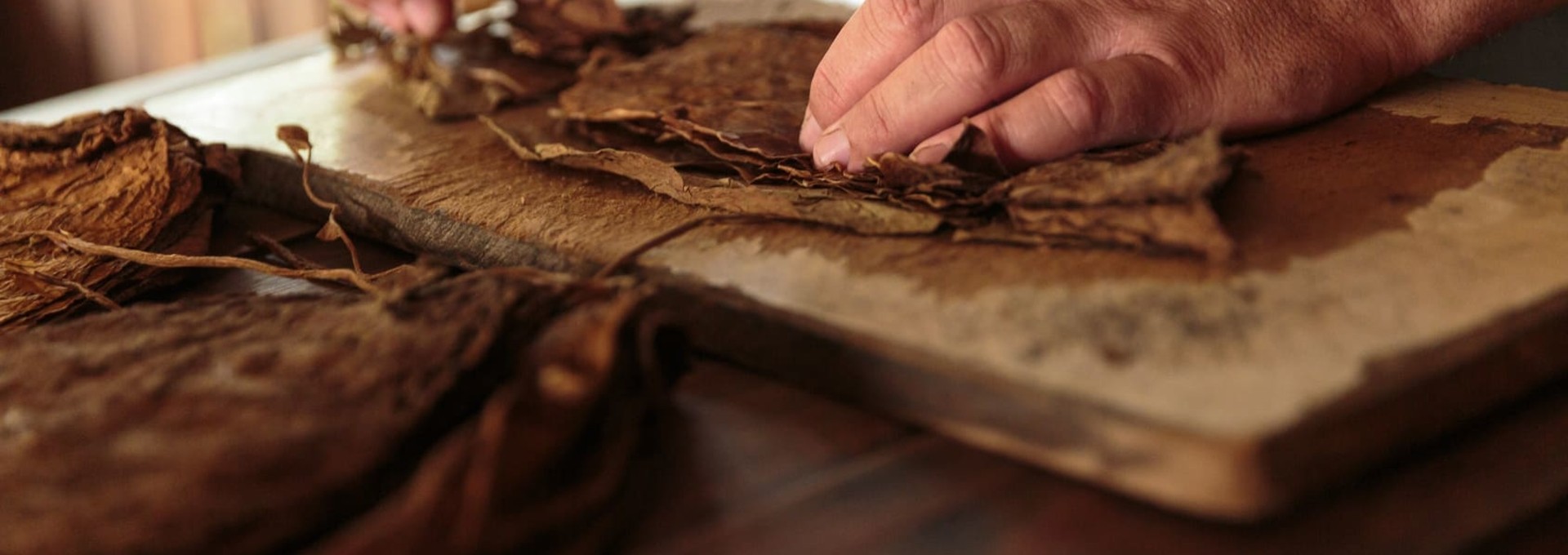 Séjour à Cuba : la passion du cigare