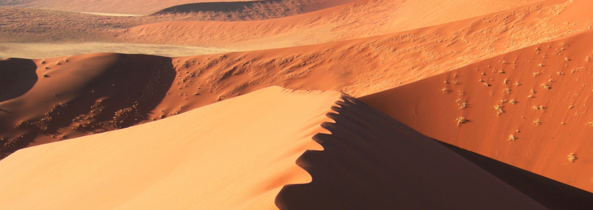 Voyage en Afrique du Sud et en Namibie