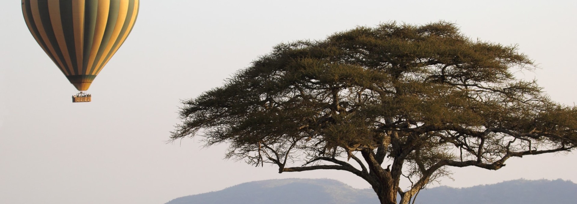 Safari en Tanzanie en montgolfière