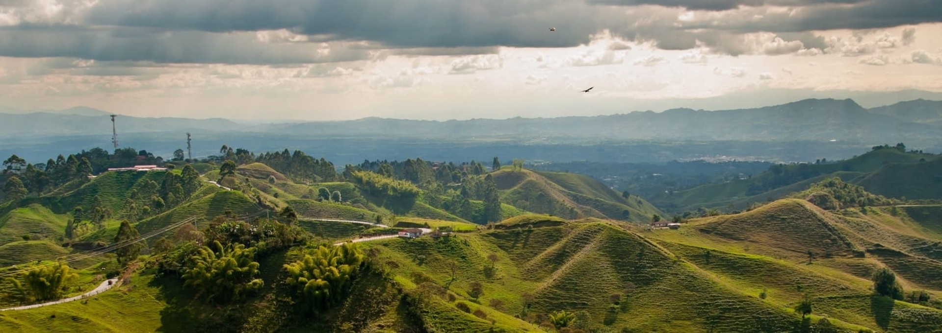 Des Andes à la côte Caraïbe : le cœur de la Colombie en circuit