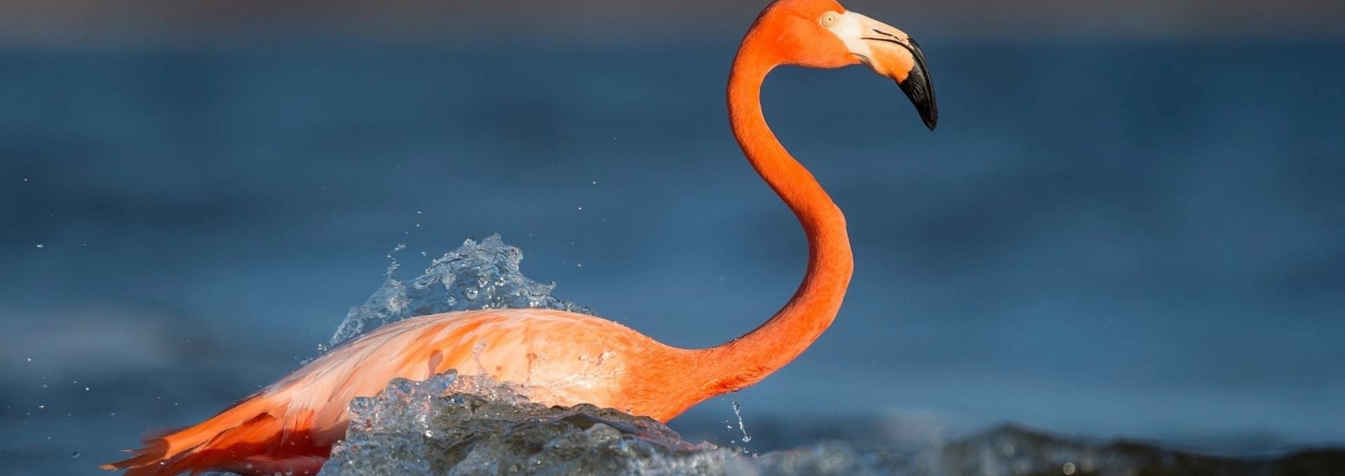 Autotour en Floride en famille