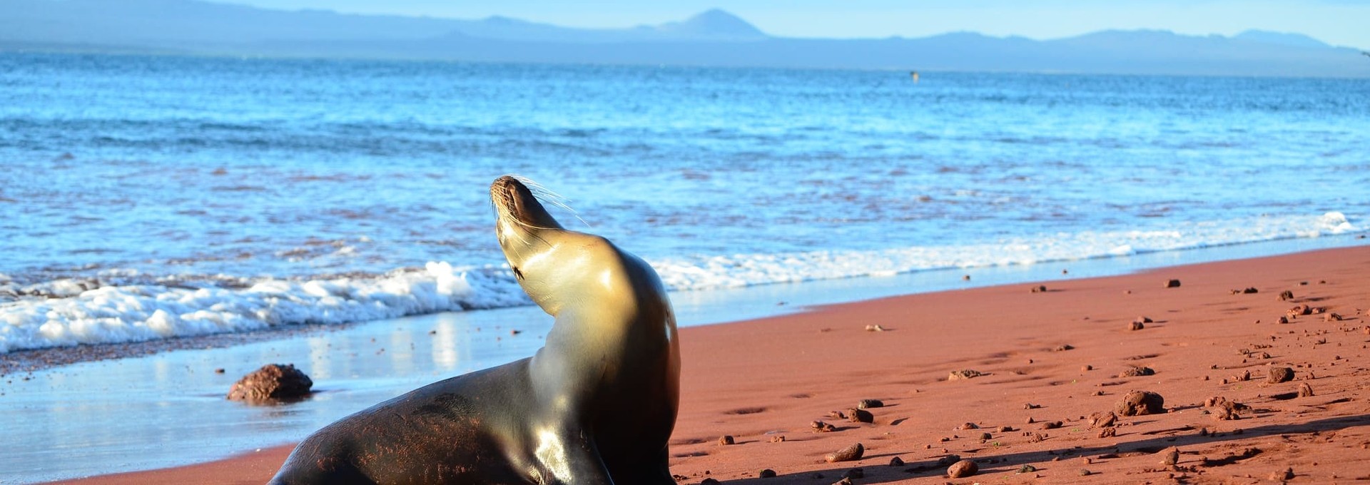 Combiné découverte Equateur – Galapagos