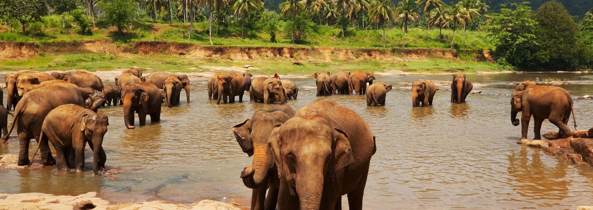 L’essentiel du Sri Lanka