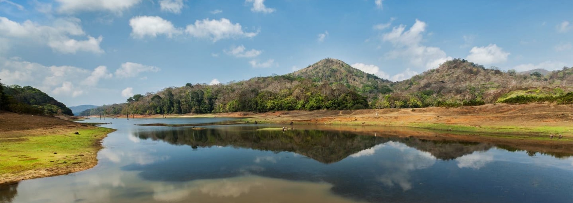 Voyage au Kerala en famille