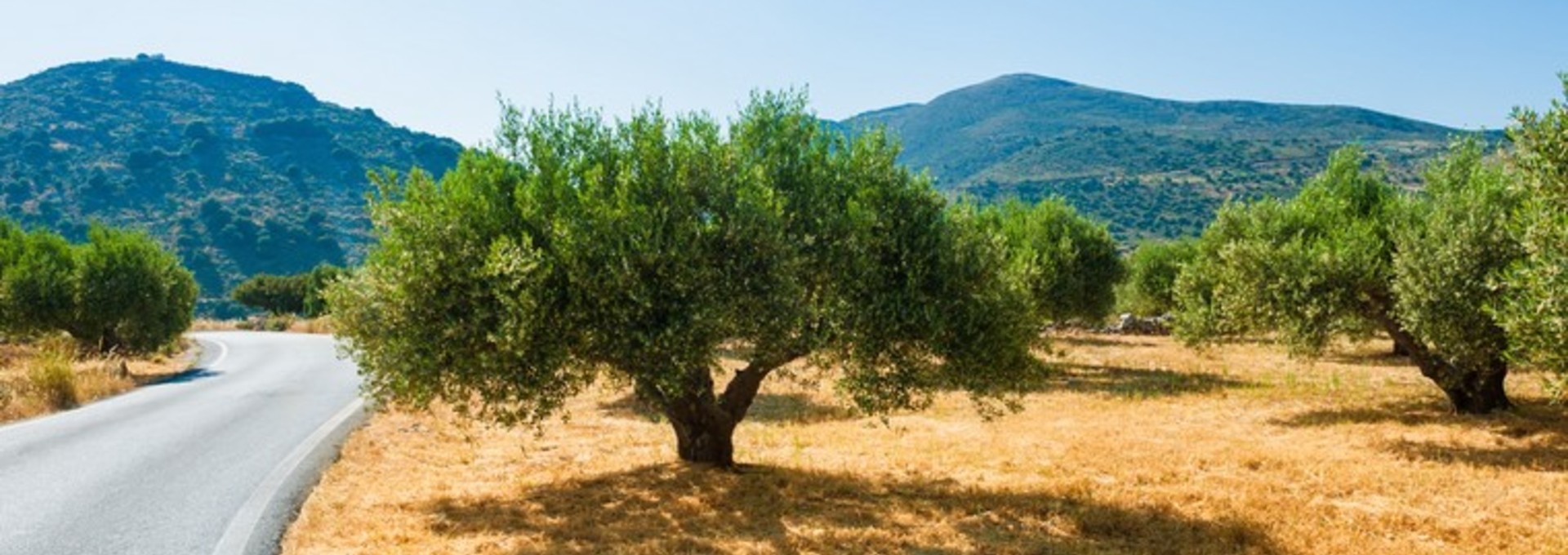 Au volant de votre voiture en Crète