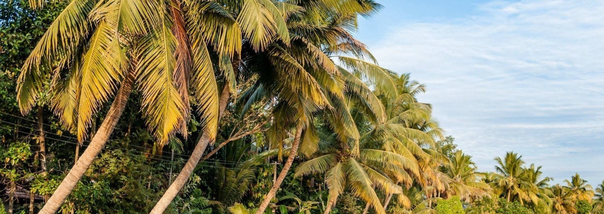 Circuit en Inde du Sud : les incontournables !