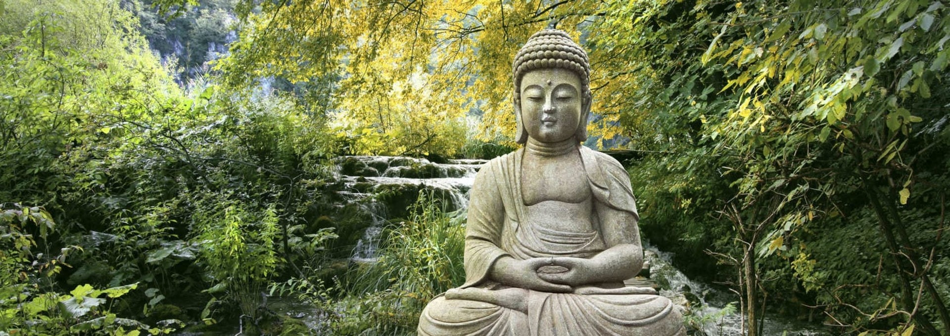 Triangle d’Or et Yoga en Inde