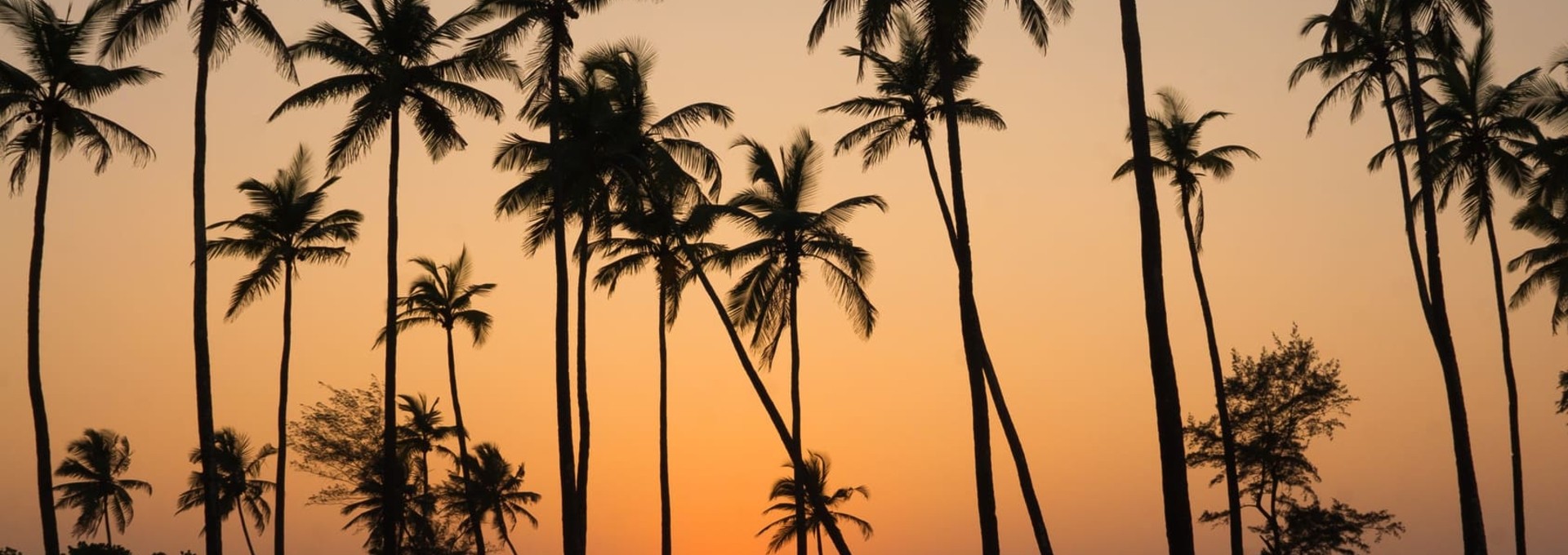 Circuit au Karnataka de Bangalore à Mumbai