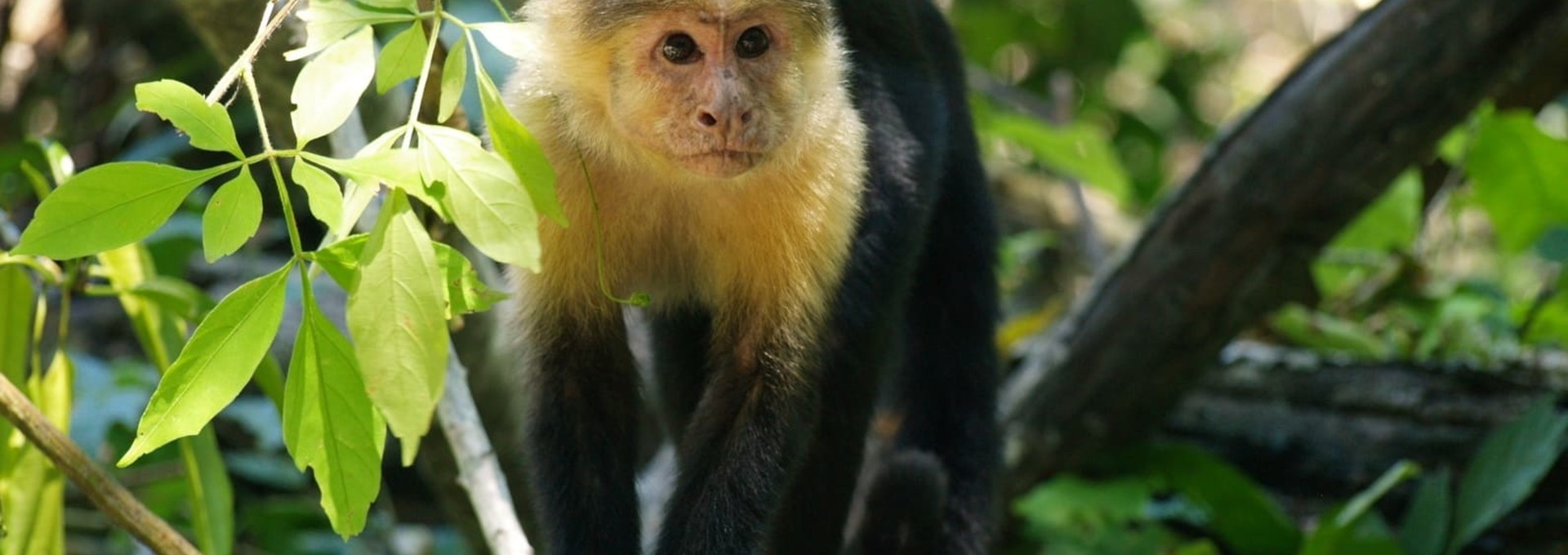 Ma famille au Costa Rica