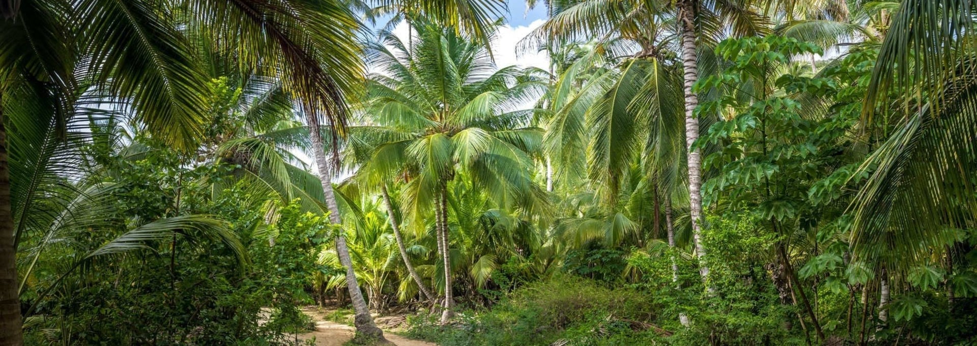 Immersion au cœur de la nature colombienne