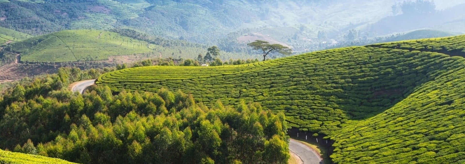 Circuit au Kerala en Royal Enfield