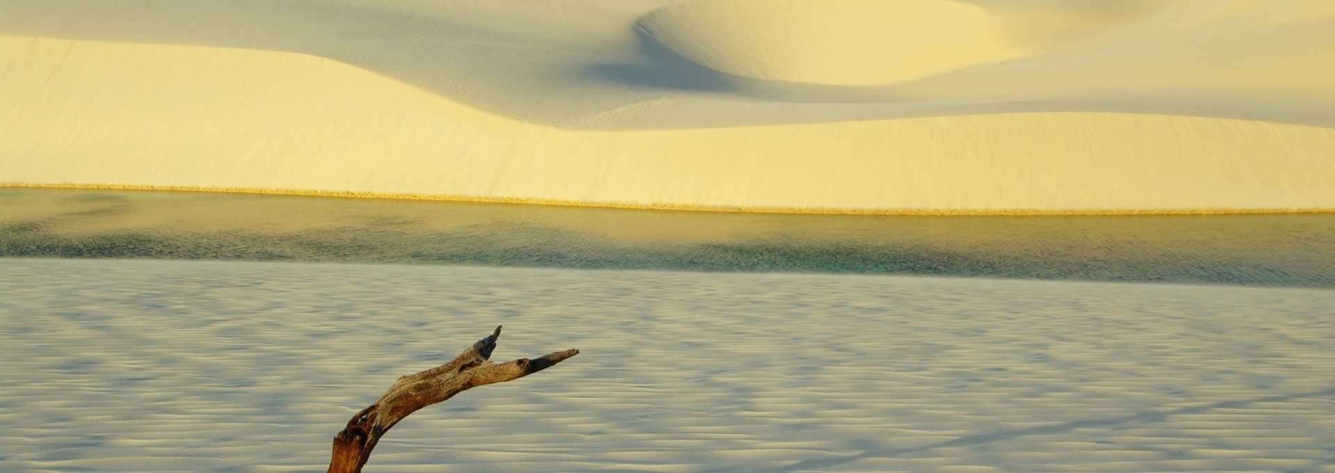 Séjour au Brésil entre plage et désert