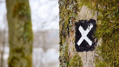 Je ne peux plus partir. Comment puis-je annuler mon voyage ?