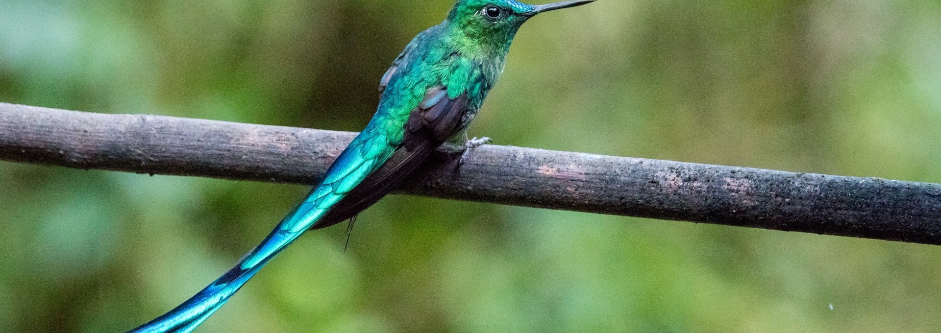 La Colombie sauvage et préservée