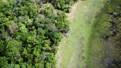 Partez à l’aventure en Amazonie brésilienne