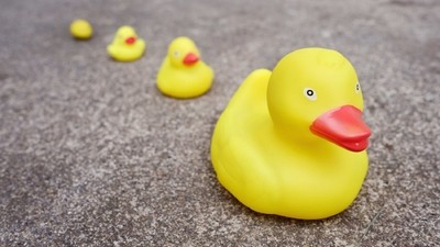 Puis-je régler le solde en plusieurs fois ?